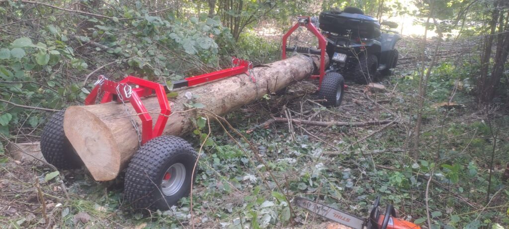 Rikas mets - püsimetsandus on võimalik